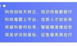 虹云大爆料视频,视频内容深度解析