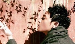 狐仙陈志朋在线观看,穿越时空的奇幻之旅